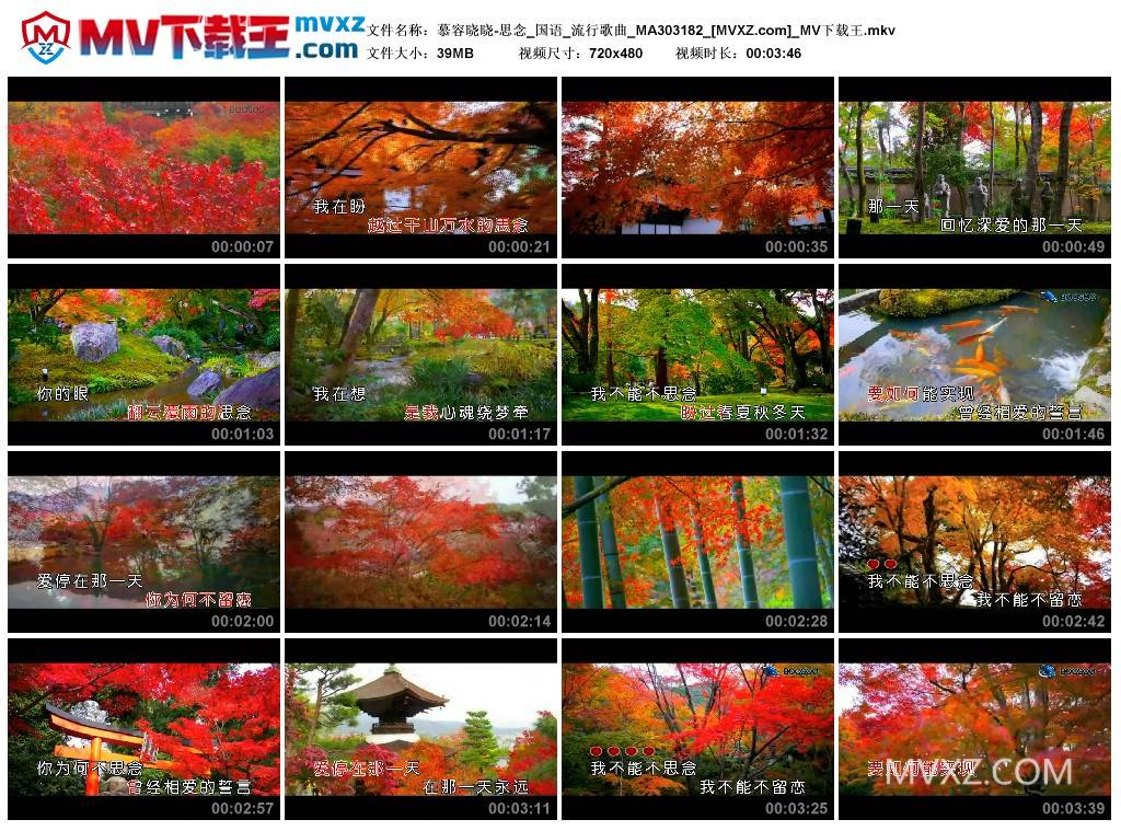 慕容晓晓-思念_国语_流行歌曲_MA303182